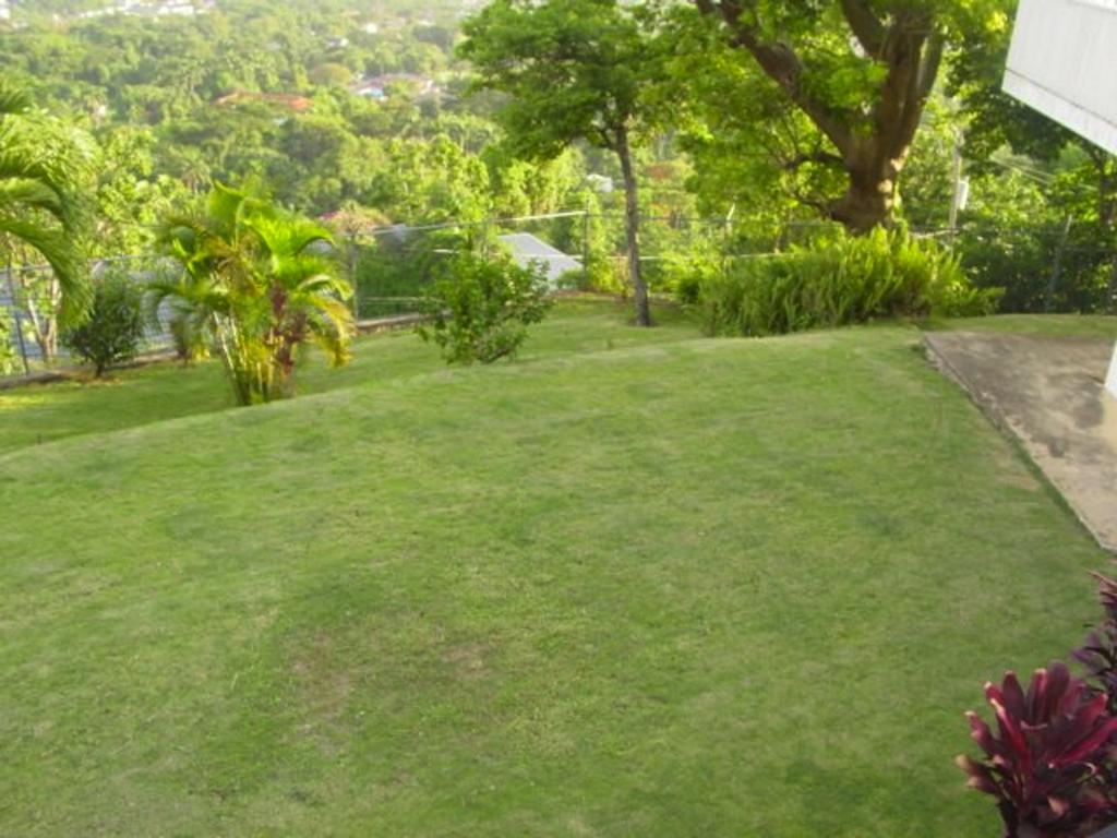 Hill Top Kingston Jamaica Extérieur photo